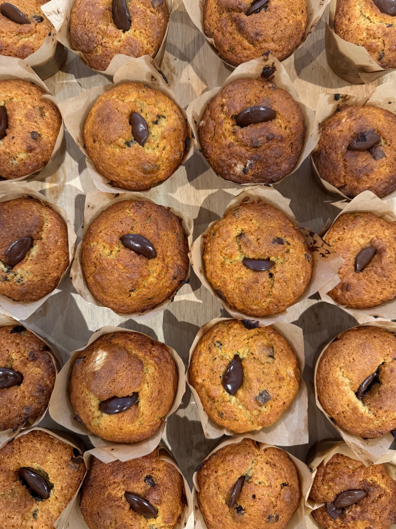 Tray of fresh-baked chocolate chunk muffins
